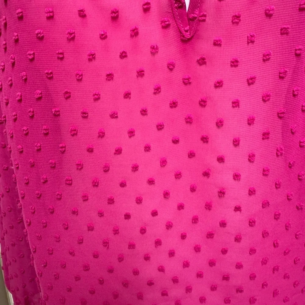 J.Crew Sheer Pink Swiss Dot Blouse Size Small